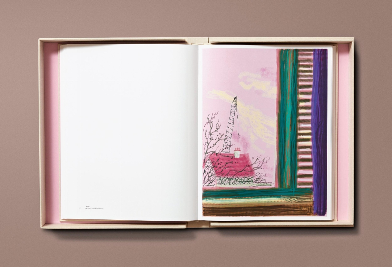 David Hockney. My Window, Art Edition No. 1–250 ‘28th June 2009’ - Immagine 9 di 25