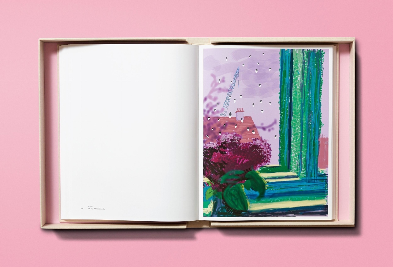 David Hockney. My Window, Art Edition No. 1–250 ‘28th June 2009’ - Immagine 10 di 25