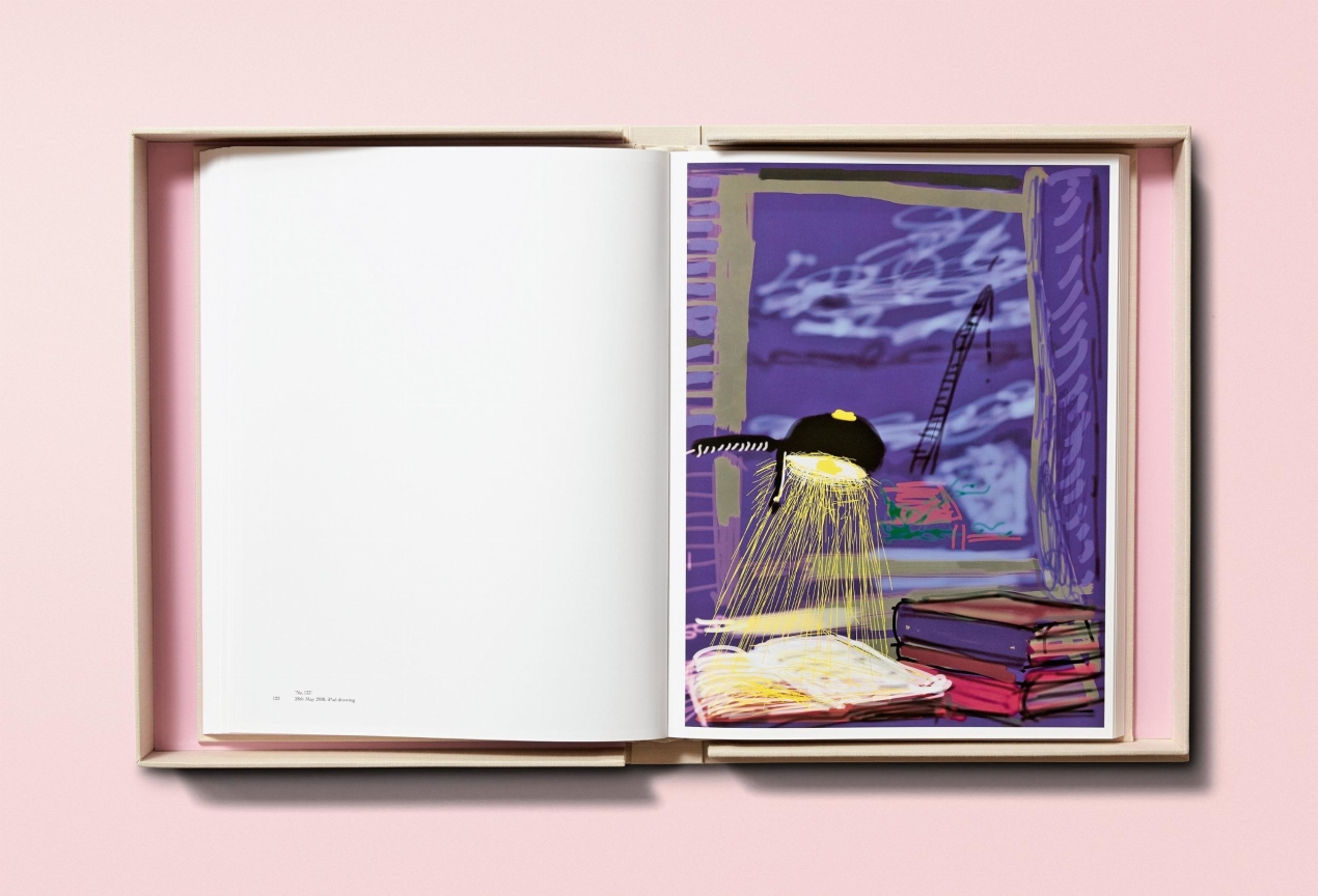 David Hockney. My Window, Art Edition No. 1–250 ‘28th June 2009’ - Immagine 11 di 25