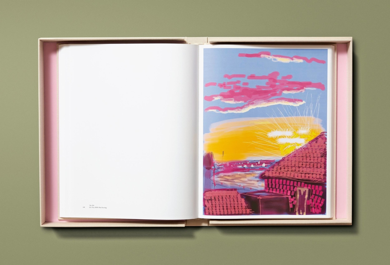 David Hockney. My Window, Art Edition No. 1–250 ‘28th June 2009’ - Immagine 12 di 25