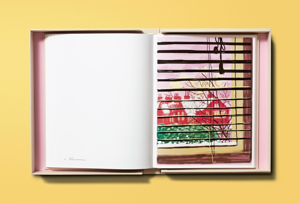 David Hockney. My Window, Art Edition No. 1–250 ‘28th June 2009’ - Immagine 13 di 25