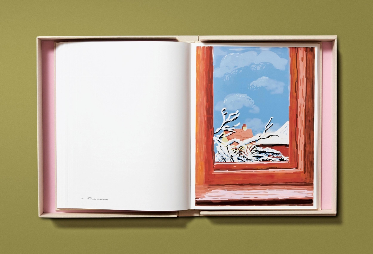 David Hockney. My Window, Art Edition No. 1–250 ‘28th June 2009’ - Immagine 14 di 25
