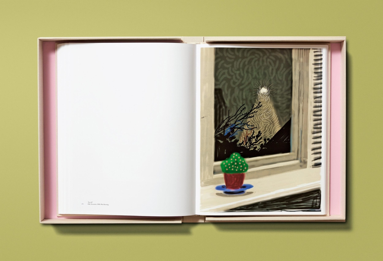 David Hockney. My Window, Art Edition No. 1–250 ‘28th June 2009’ - Immagine 15 di 25