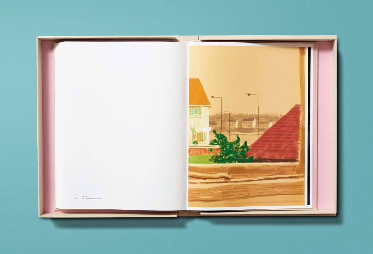 David Hockney. My Window, Art Edition No. 1–250 ‘28th June 2009’ - Immagine 17 di 25