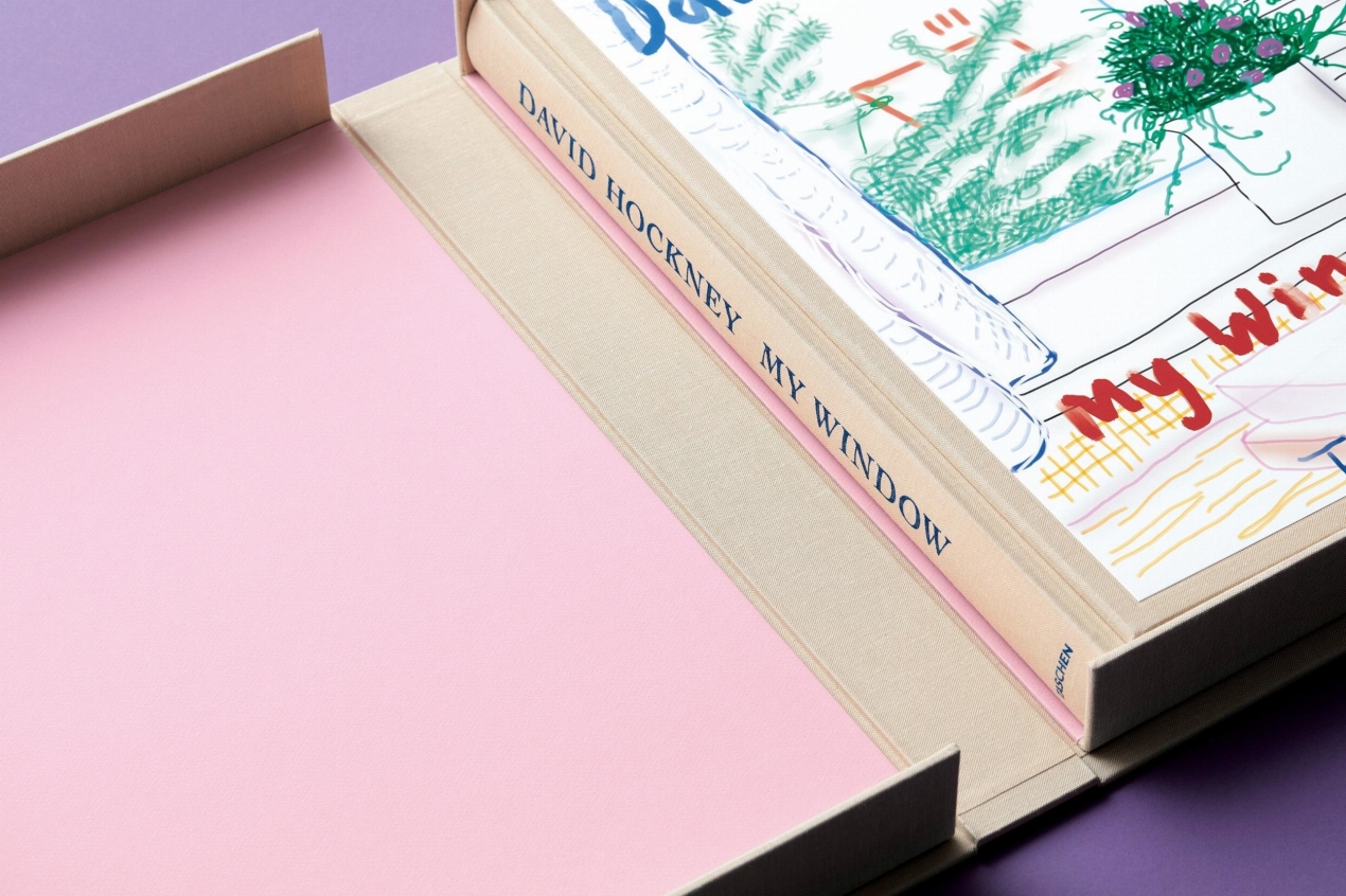 David Hockney. My Window, Art Edition No. 1–250 ‘28th June 2009’ - Immagine 20 di 25