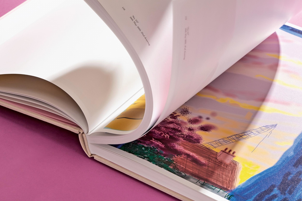 David Hockney. My Window, Art Edition No. 1–250 ‘28th June 2009’ - Immagine 24 di 25