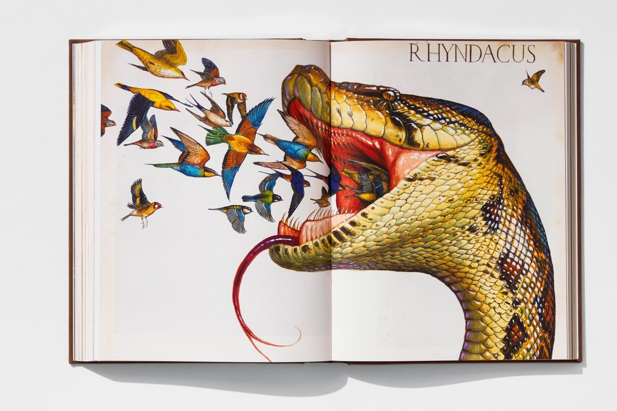 Walton Ford. Pancha Tantra. Art Edition No. 1–100 ‘Granary’ - Image 8 of 19