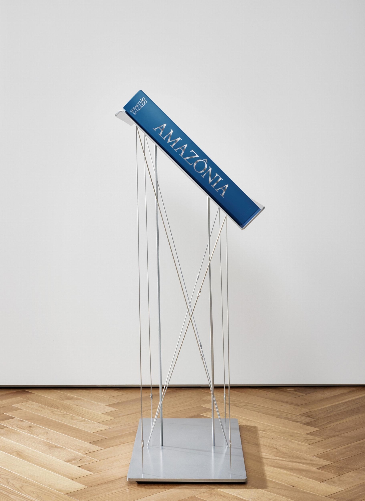 Sebastião Salgado. Amazônia, Art Edition No. 101–200 ‘Young Hatiri Suruwahá bathes in a backwater of the Pretão stream’ - Imagen 12 de 16