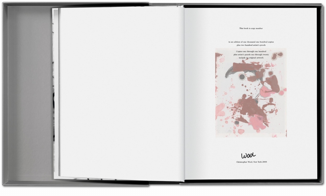 Christopher Wool - Imagen 3 de 12