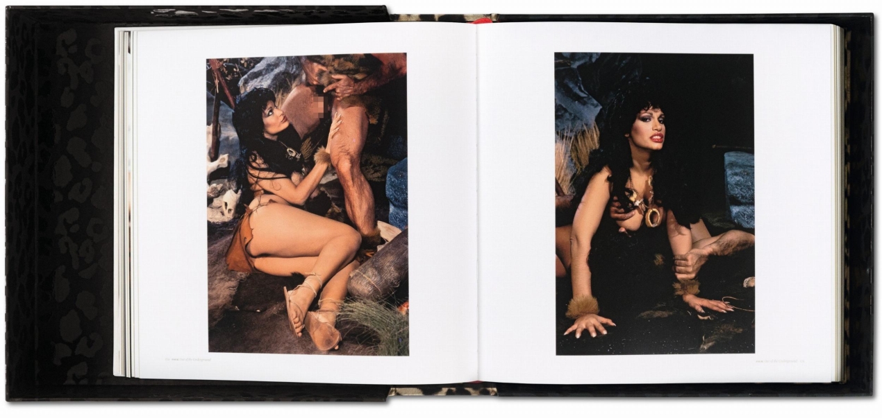 Vanessa del Rio - Image 8 of 10