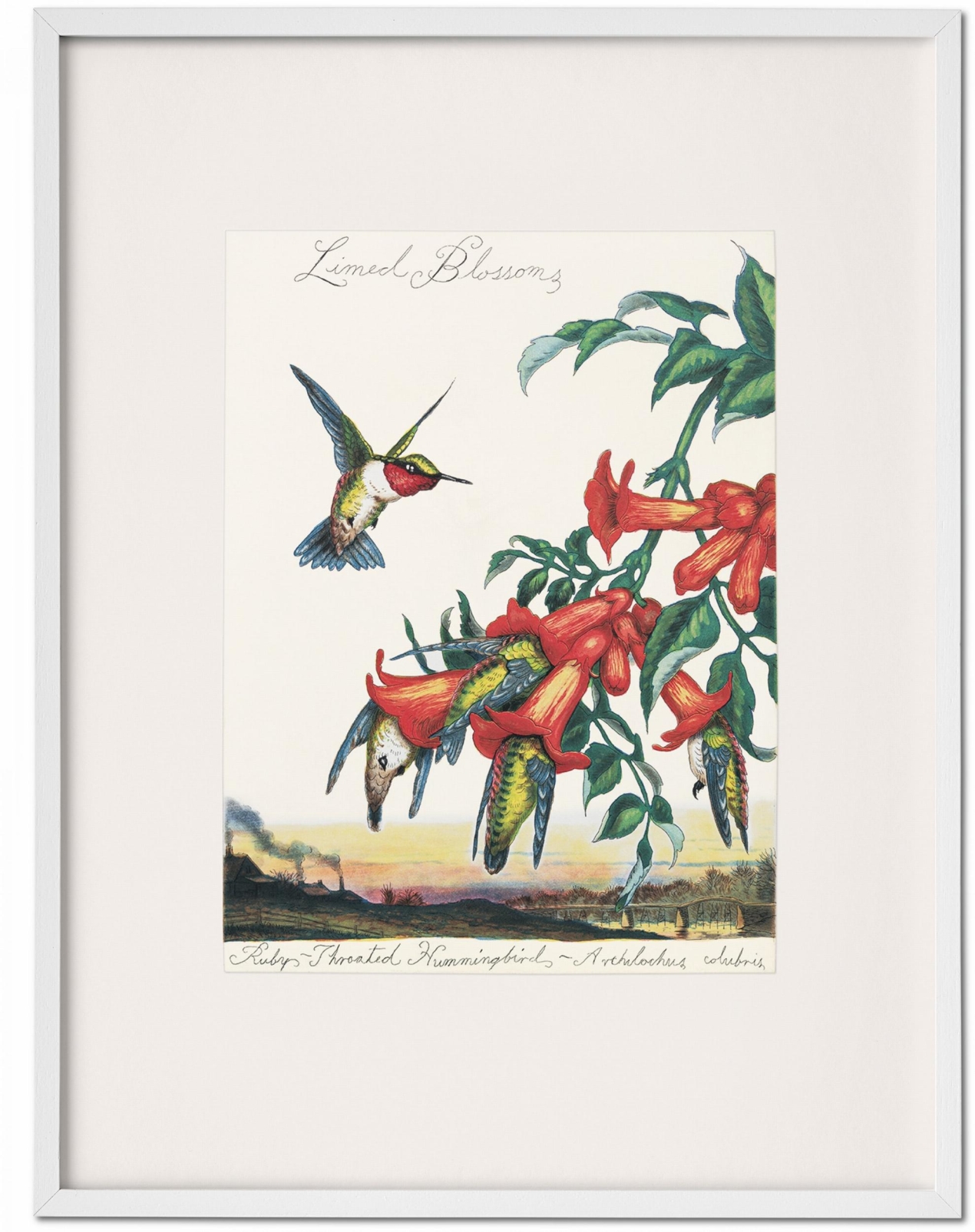 Walton Ford. Pancha Tantra. Art Edition - Bild 2 von 10