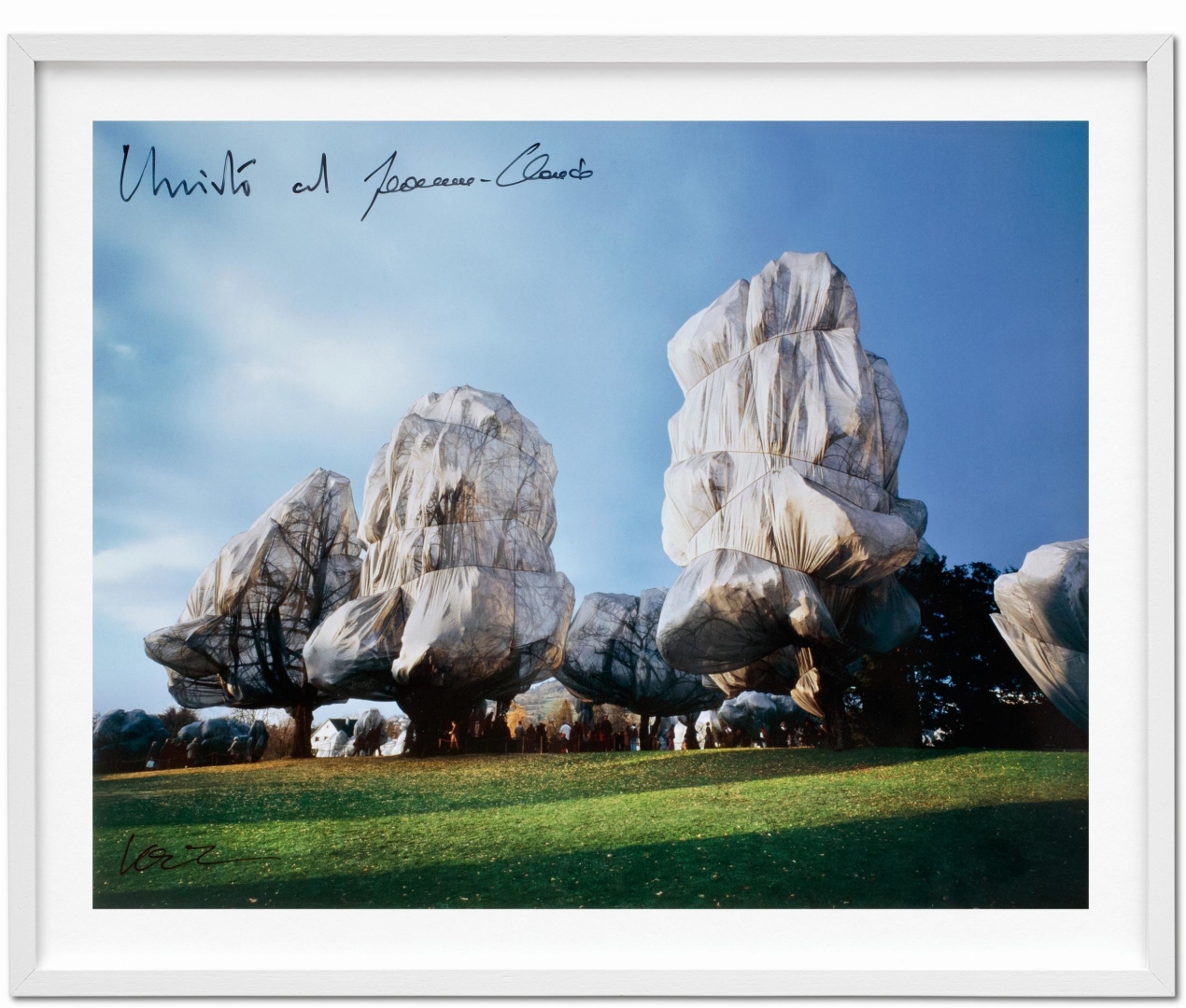 Christo and Jeanne-Claude. Wrapped Trees. Basel 1997–1998 - Immagine 16 di 16