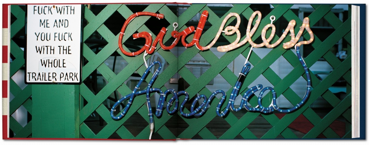 Naomi Harris. America Swings, Art Edition No. 51–100 ‘Barbecue’ - Imagen 4 de 9