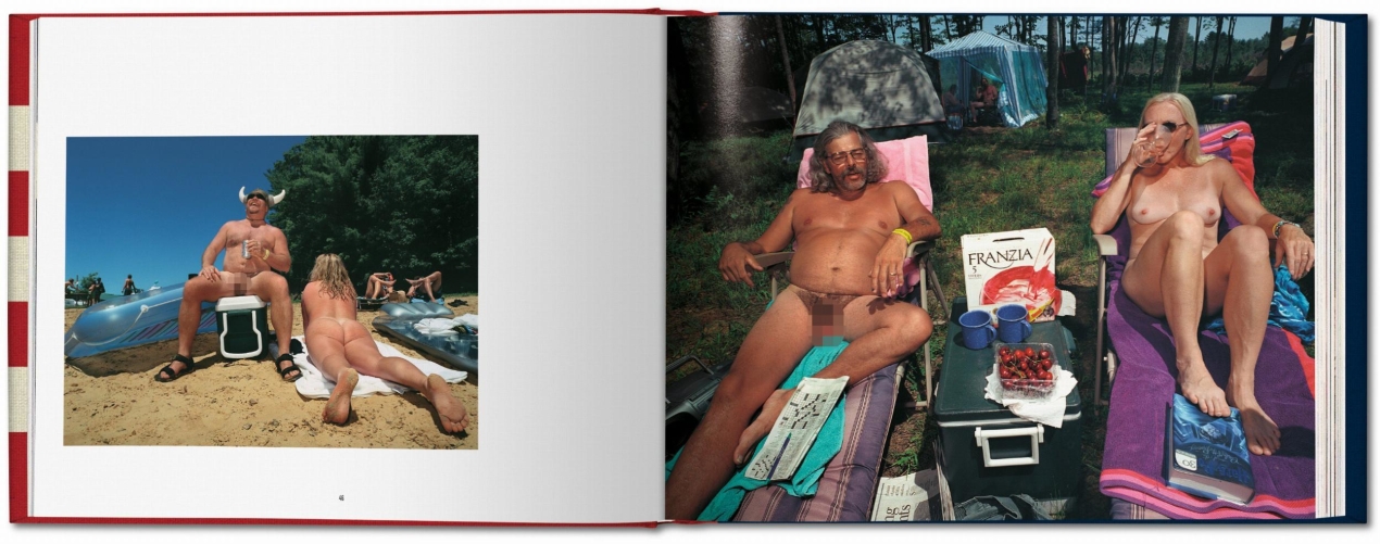 Naomi Harris. America Swings, Art Edition No. 51–100 ‘Barbecue’ - Imagen 5 de 9