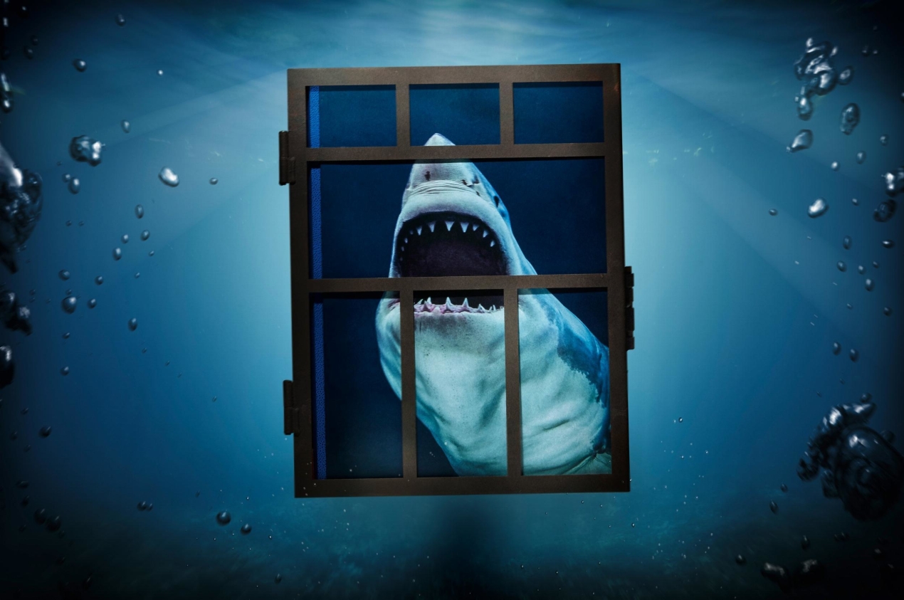 Michael Muller. Sharks - Immagine 1 di 15