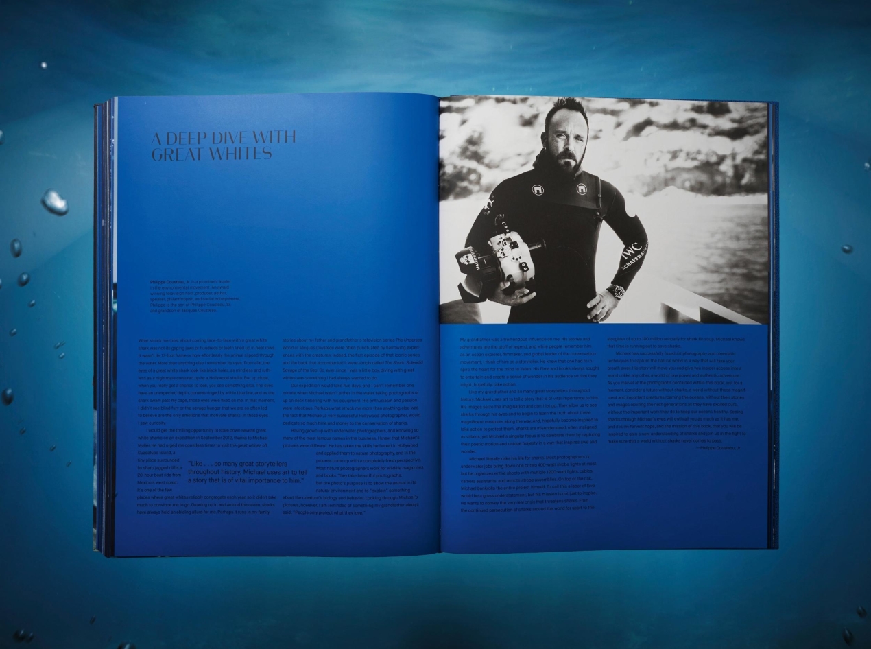 Michael Muller. Sharks - Immagine 14 di 15