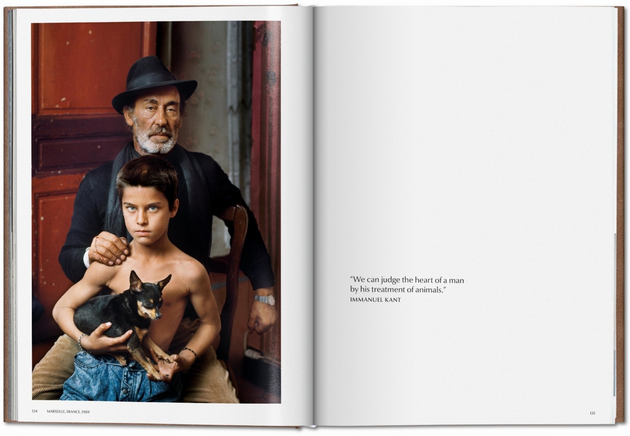 Steve McCurry. Animals. Art Edition No. 1–100 ‘Chiang Mai, Thailand, 2010’ - Imagen 8 de 10