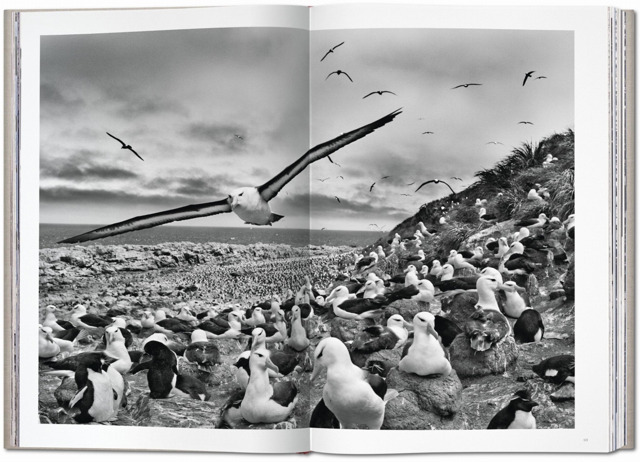 Sebastião Salgado. Genesis - Bild 9 von 13