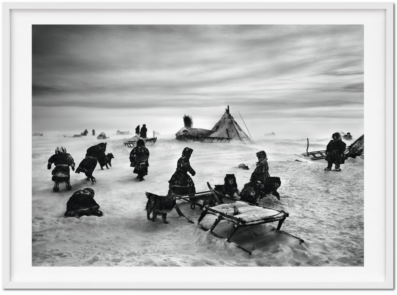 Sebastião Salgado. GENESIS, Art Edition No. 101–200 ‘North of the Ob River, Yamal Peninsula, Siberia, Russia’ - Bild 2 von 12