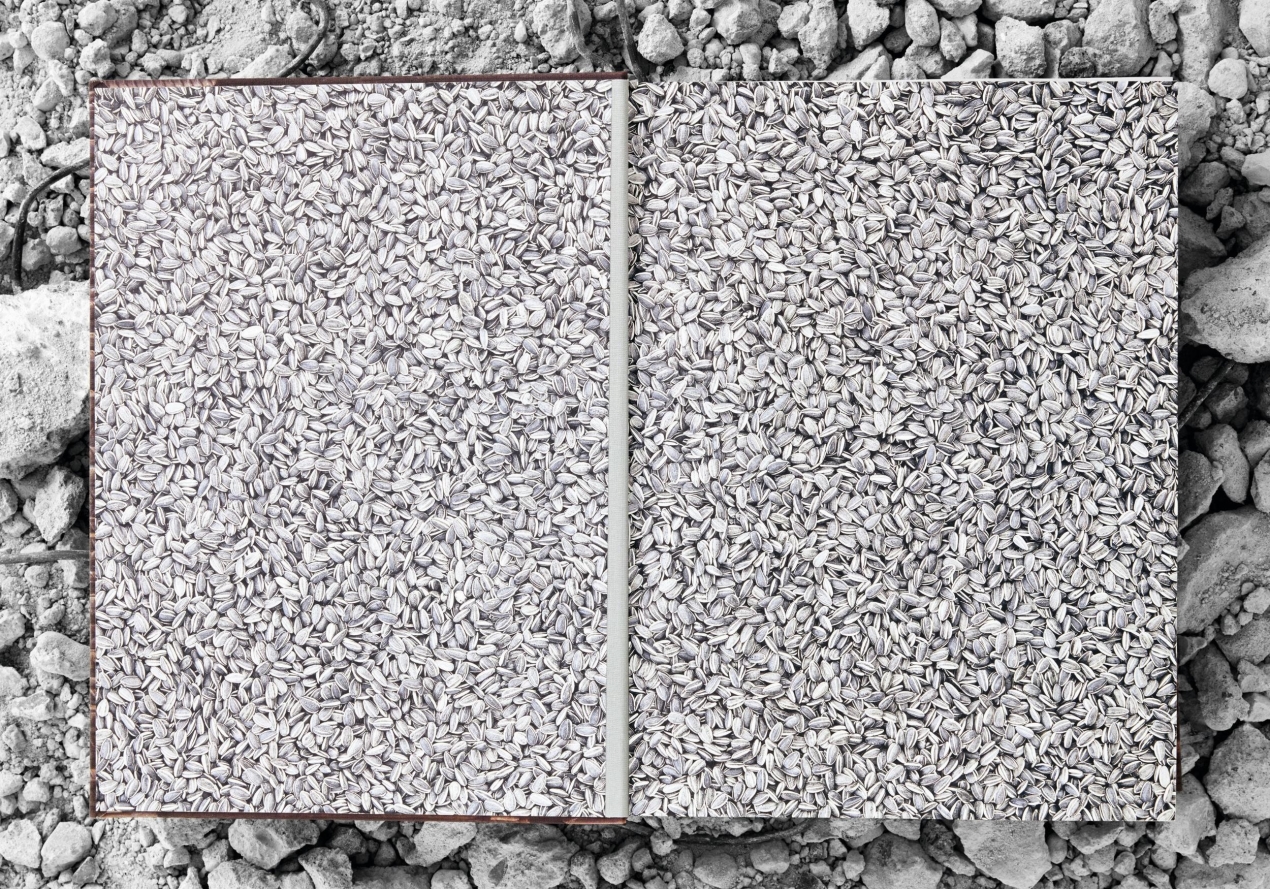 Ai Weiwei - Bild 5 von 12