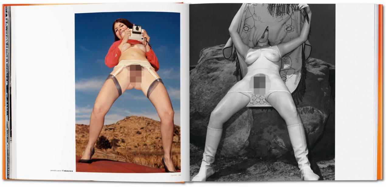 The Big Book of Pussy - Bild 3 von 7