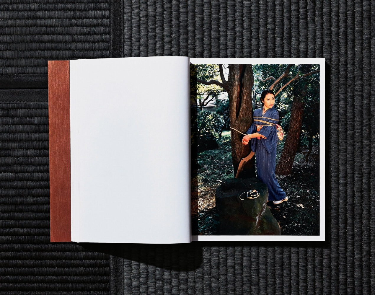 Nobuyoshi Araki. Bondage - Bild 10 von 27