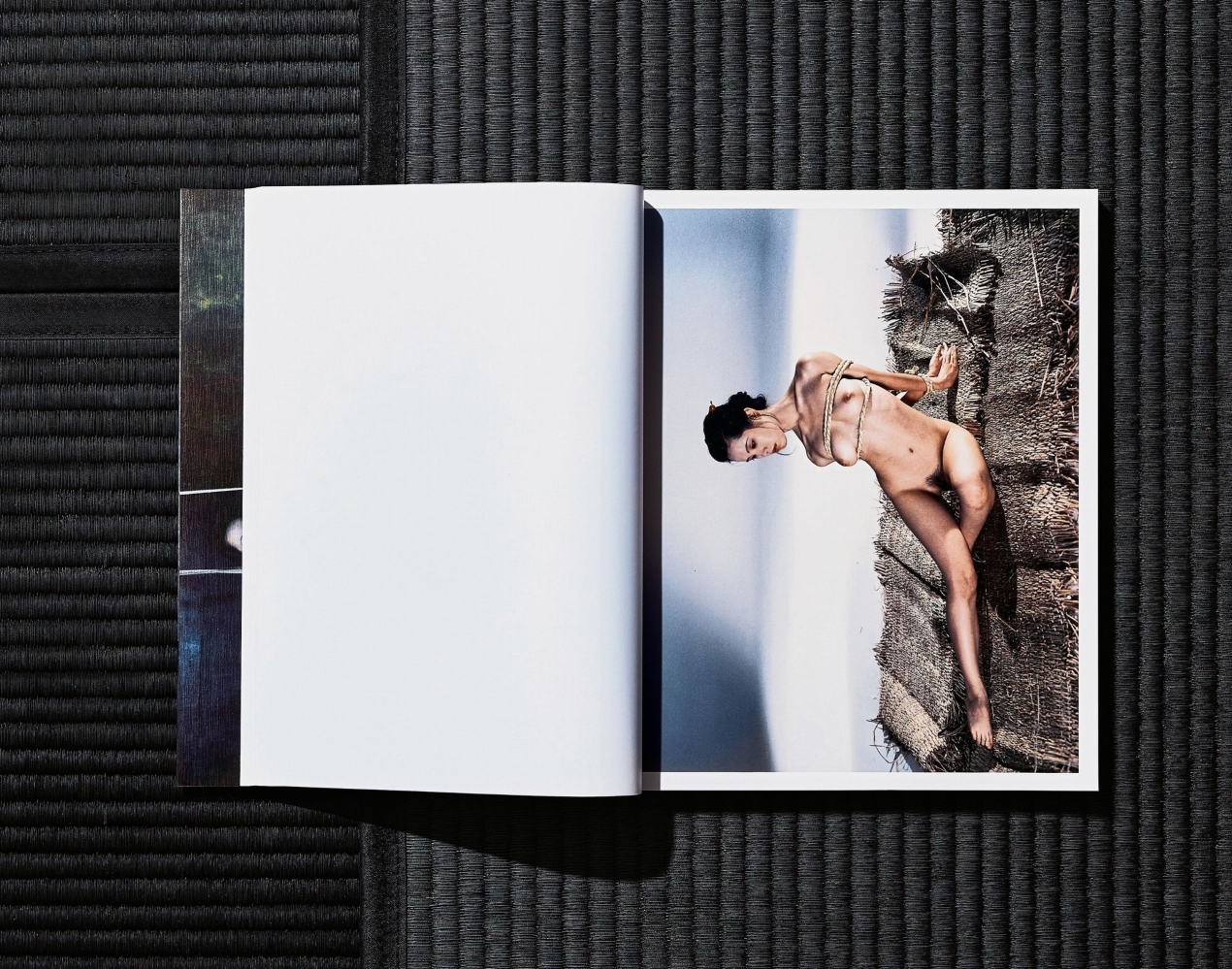 Nobuyoshi Araki. Bondage - Bild 13 von 27