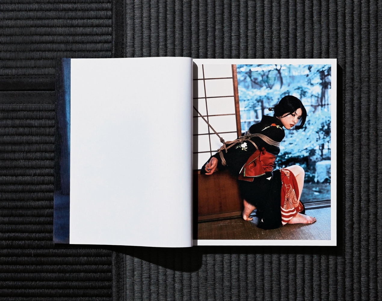 Nobuyoshi Araki. Bondage - Bild 17 von 27