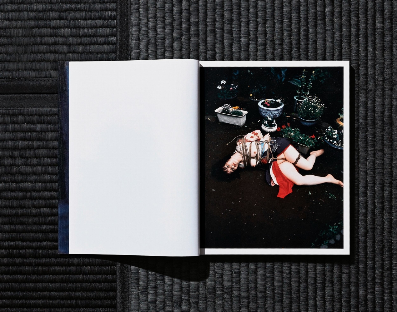 Nobuyoshi Araki. Bondage - Bild 19 von 27