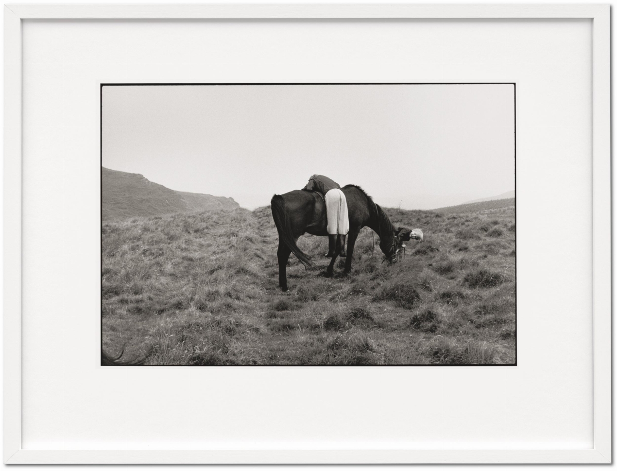 Linda McCartney. Life in Photographs, Art Edition No. 1–125 ‘Horse’ - Bild 2 von 8