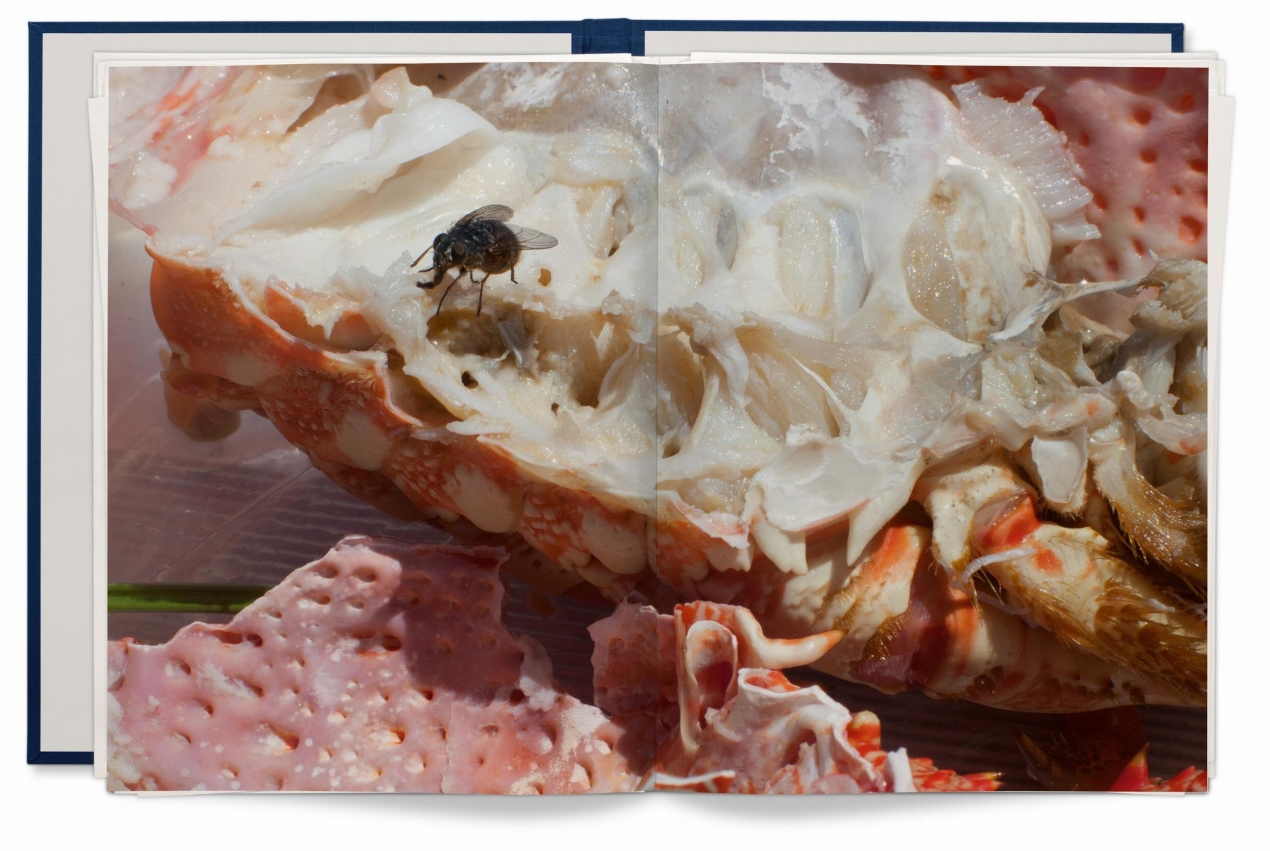 Wolfgang Tillmans. Neue Welt, Art Edition - Immagine 8 di 26