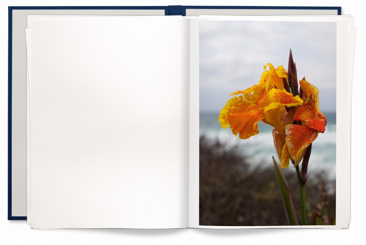 Wolfgang Tillmans. Neue Welt, Art Edition - Immagine 10 di 26