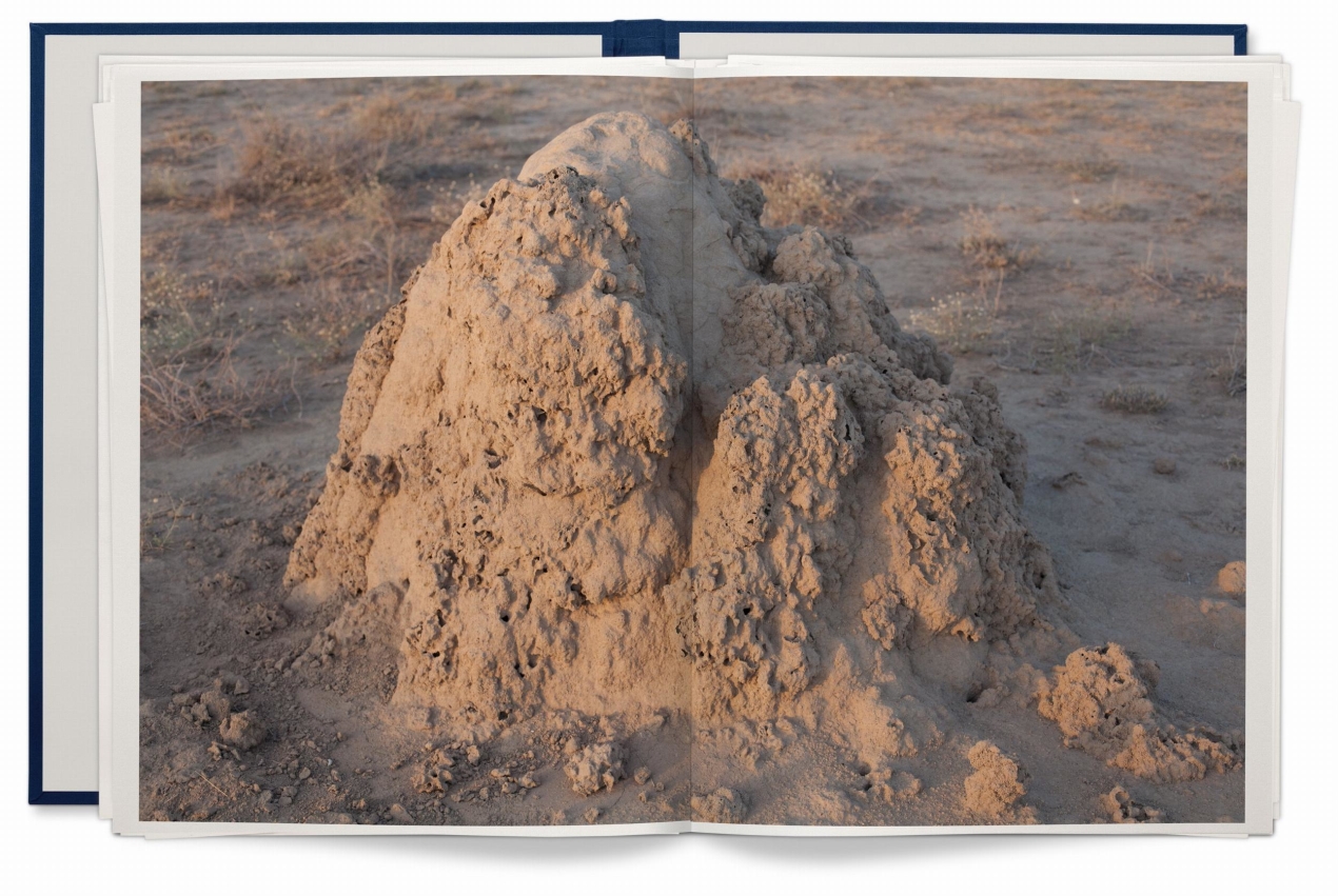 Wolfgang Tillmans. Neue Welt, Art Edition - Immagine 14 di 26