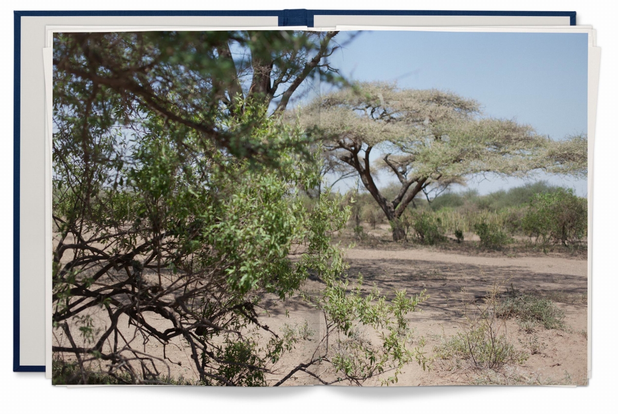 Wolfgang Tillmans. Neue Welt, Art Edition - Immagine 16 di 26