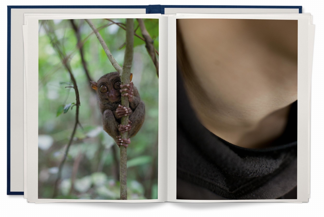 Wolfgang Tillmans. Neue Welt, Art Edition - Immagine 24 di 26