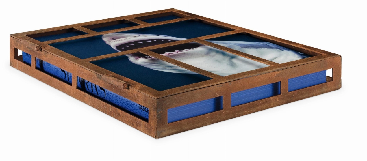 Michael Muller. Sharks - Immagine 15 di 15