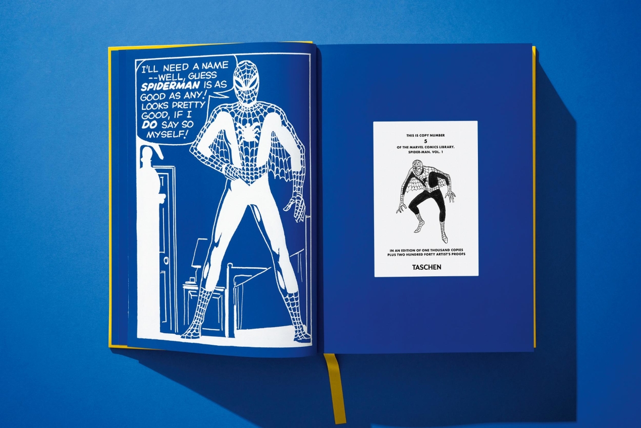 Marvel Comics Library, Spider-Man, Vol. 1, 1962-1964 - Image 11 of 49