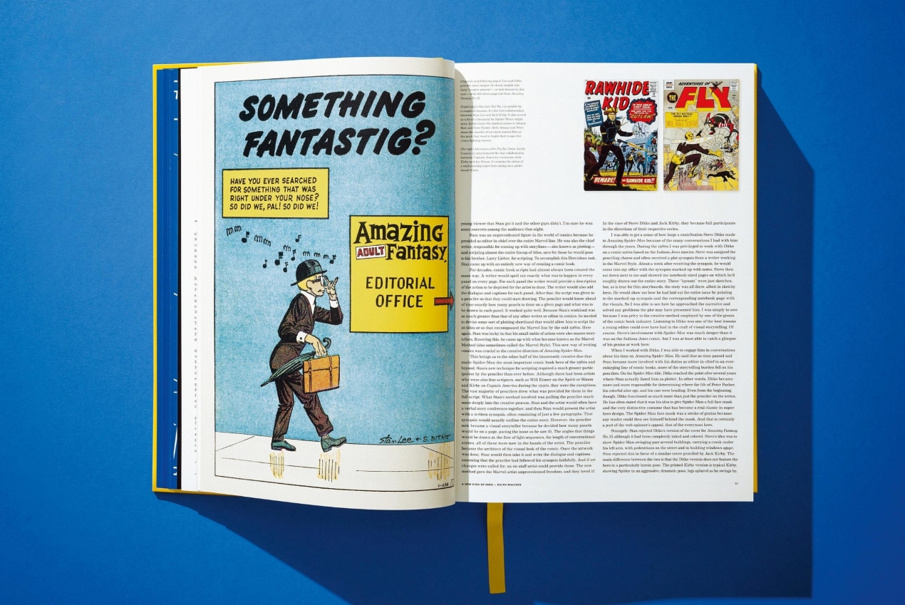 Marvel Comics Library, Spider-Man, Vol. 1, 1962-1964 - Image 17 of 49