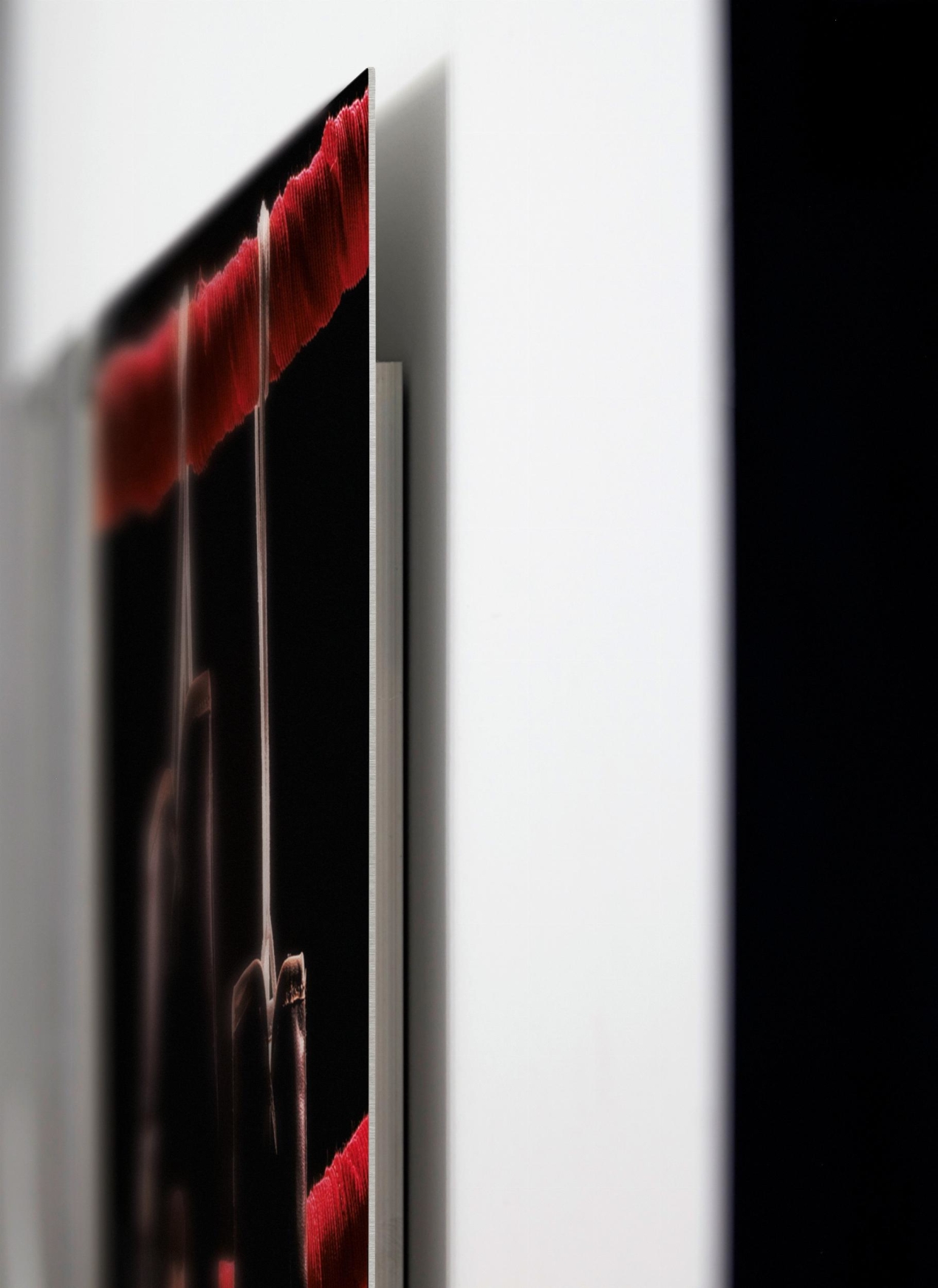 Neil Leifer. Homage to Ali. ‘Ali vs. Liston II, 1965’ - Imagen 5 de 5