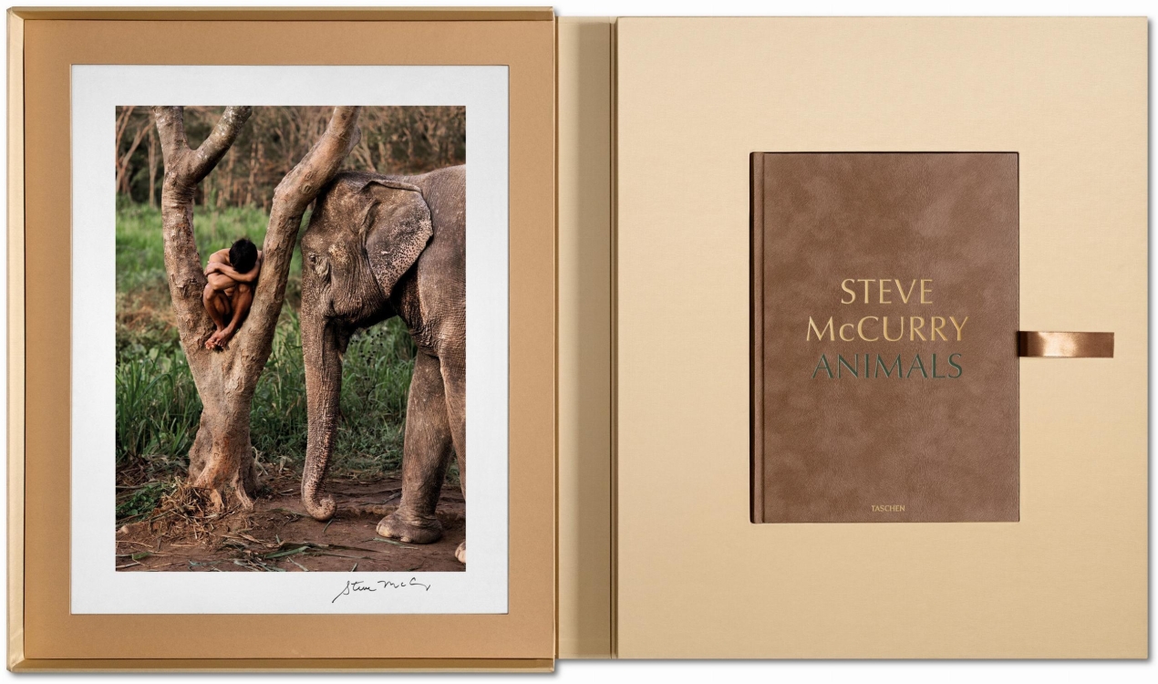 Steve McCurry. Animals. Art Edition No. 1–100 ‘Chiang Mai, Thailand, 2010’ - Imagen 2 de 10