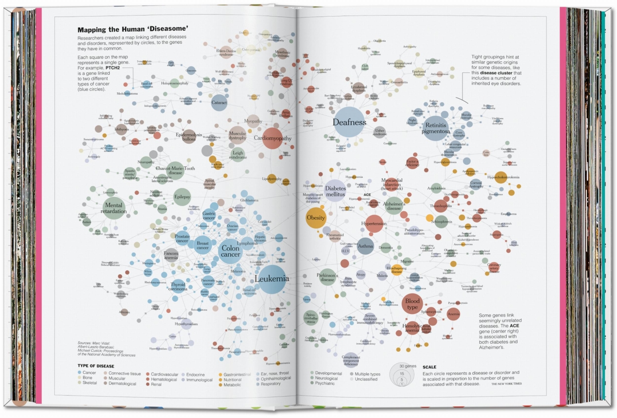 Understanding the World. The Atlas of Infographics - Bild 4 von 9