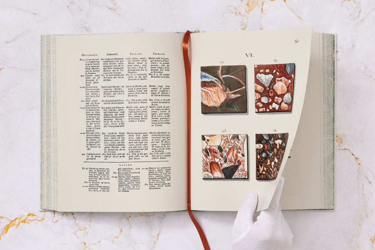 Jan Christiaan Sepp. The Book of Marble - Image 11 de 18