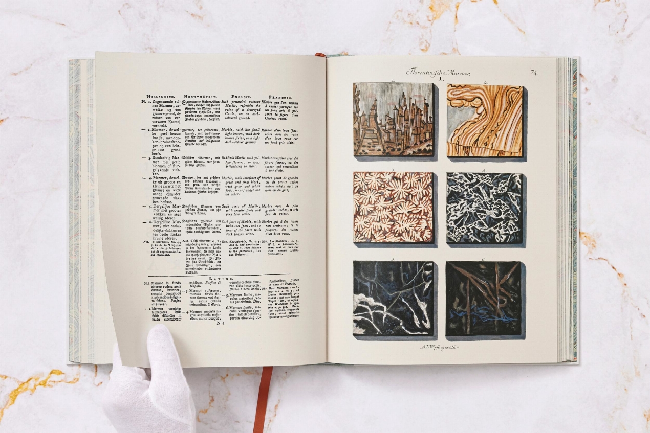 Jan Christiaan Sepp. The Book of Marble - Image 13 de 18