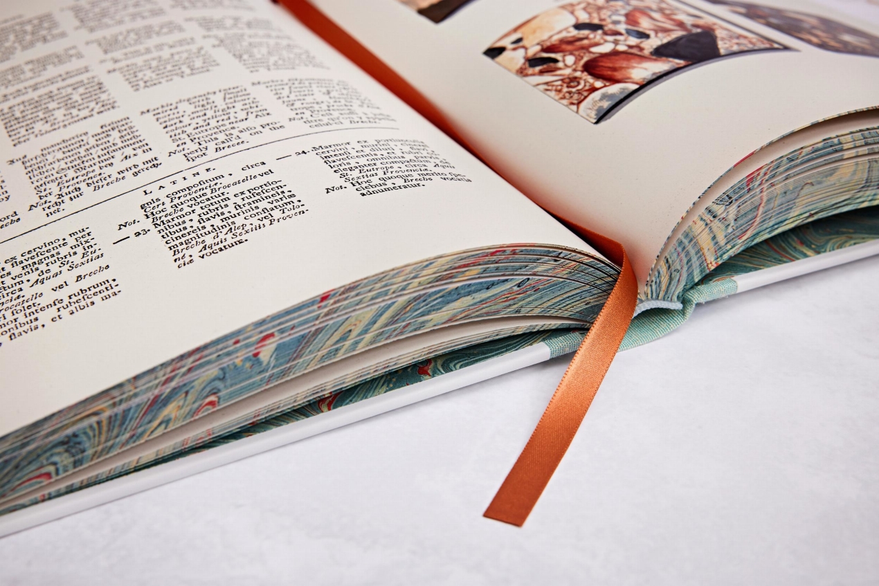 Jan Christiaan Sepp. The Book of Marble - Image 17 de 18