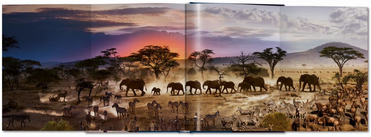 Stephen Wilkes. Day to Night - Image 9 of 10