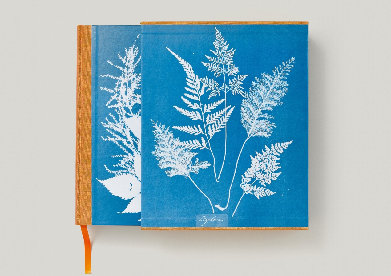 Anna Atkins. Cyanotypes - Immagine 3 di 18