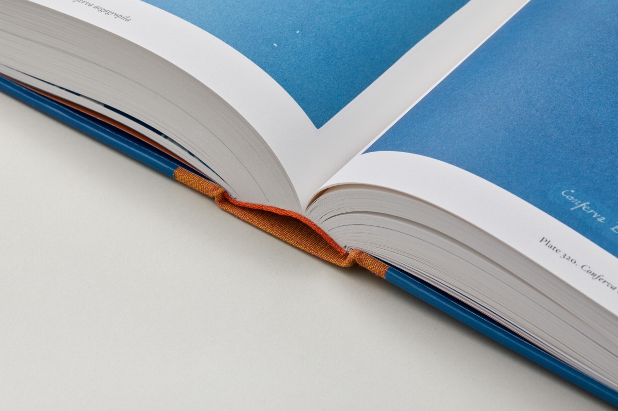 Anna Atkins. Cyanotypes - Immagine 7 di 18