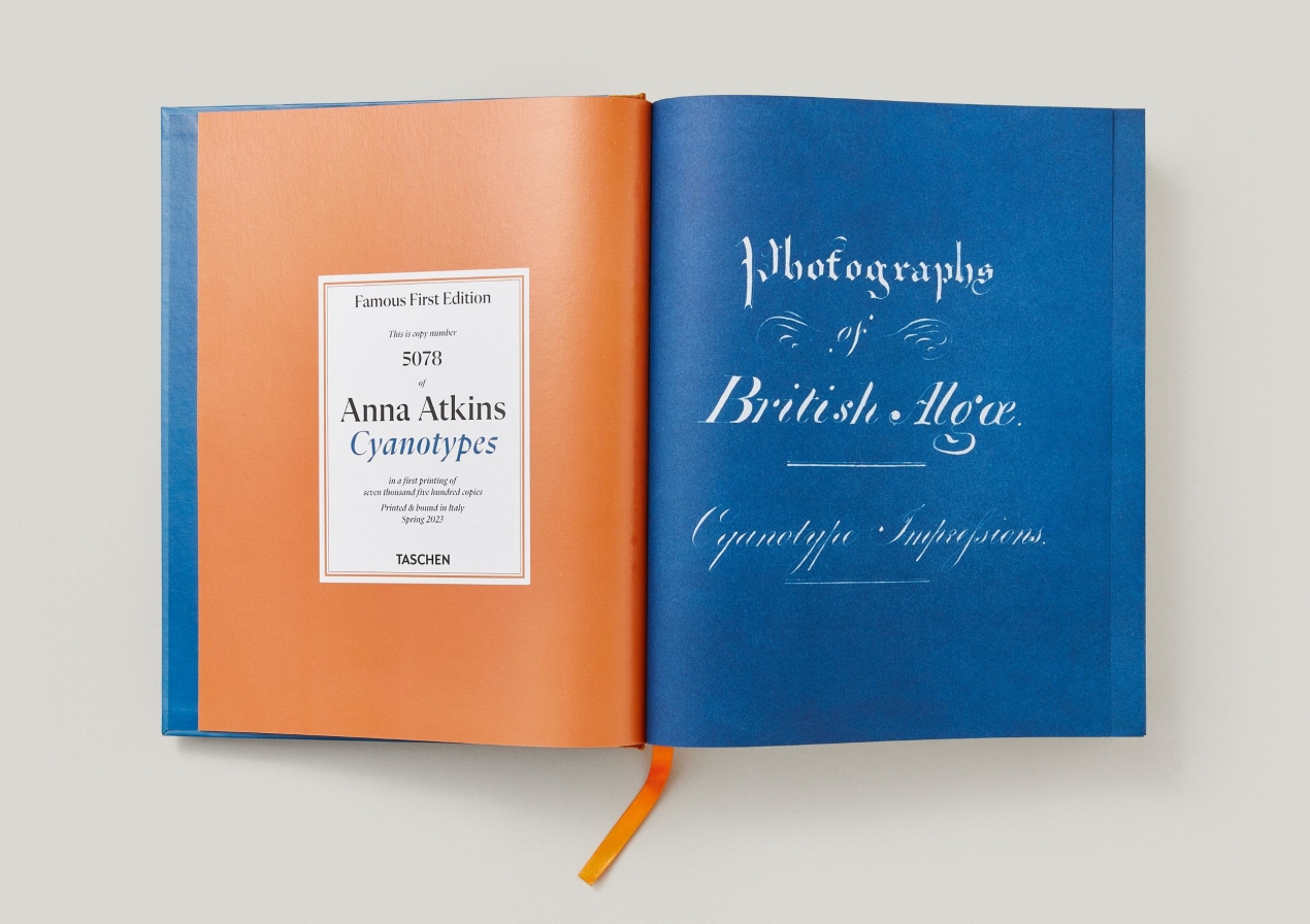 Anna Atkins. Cyanotypes - Immagine 8 di 18
