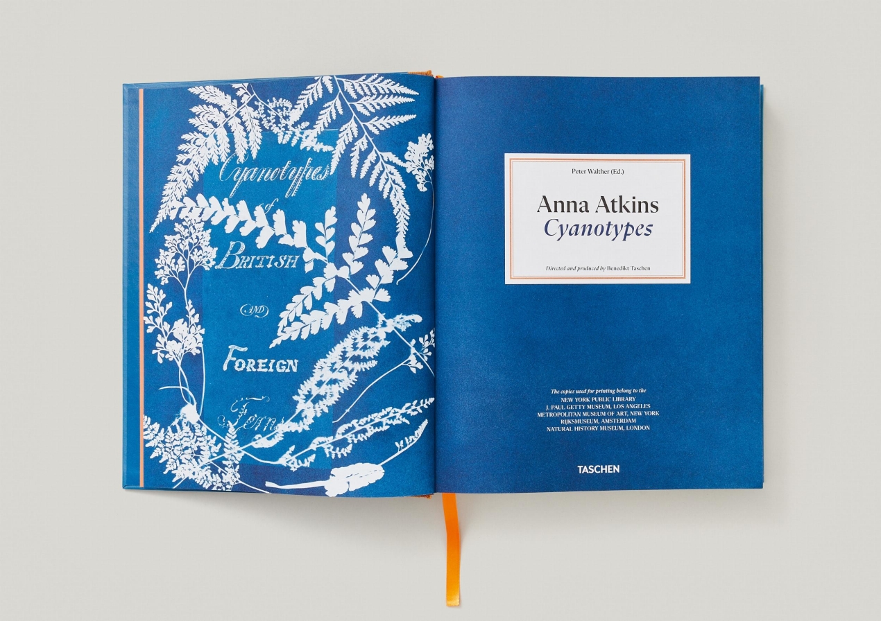 Anna Atkins. Cyanotypes - Immagine 9 di 18