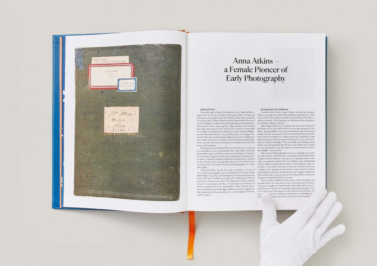 Anna Atkins. Cyanotypes - Immagine 11 di 18